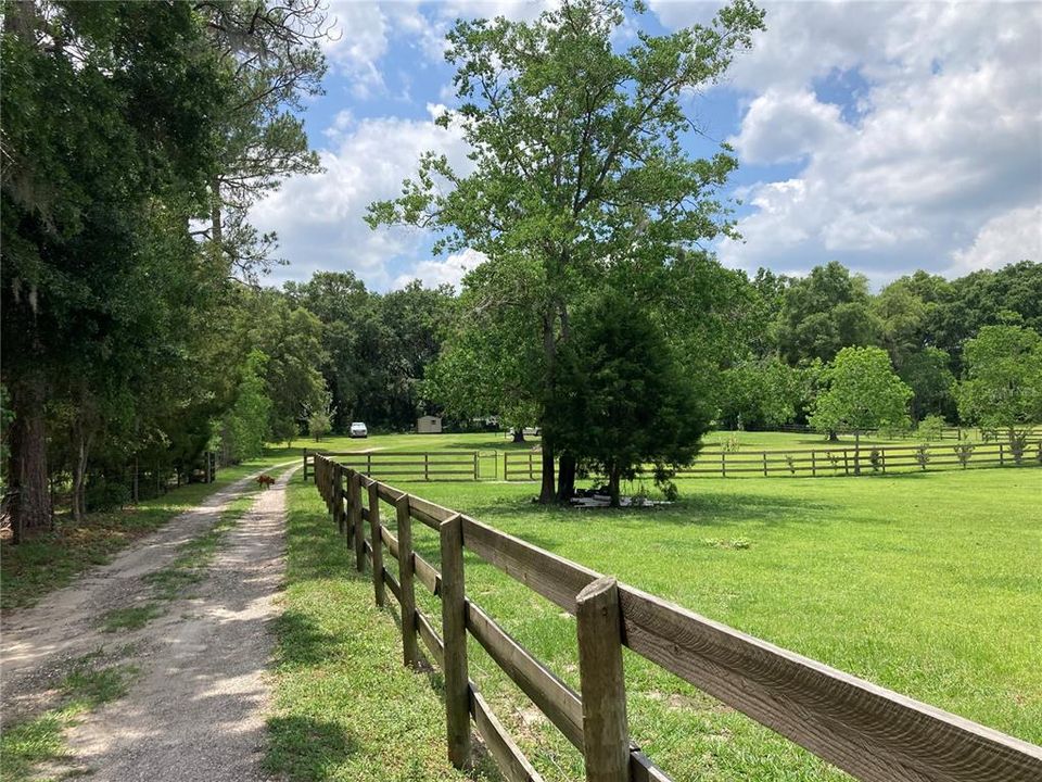 Driveway/pasture