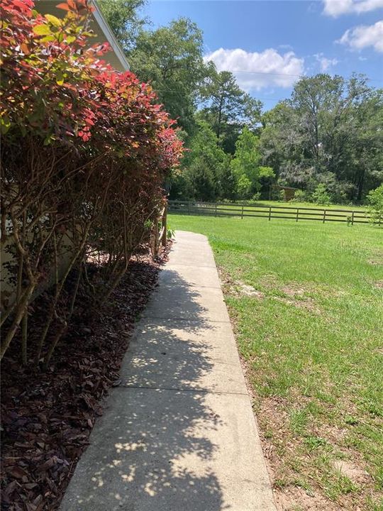 Front walkway