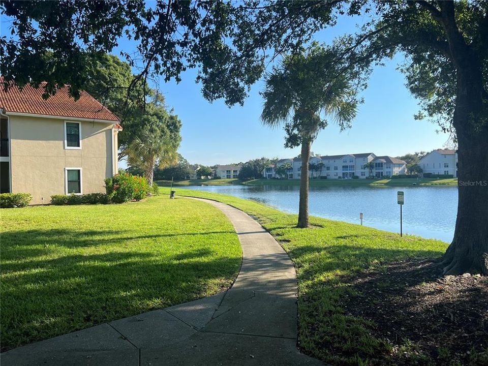 Community Pond