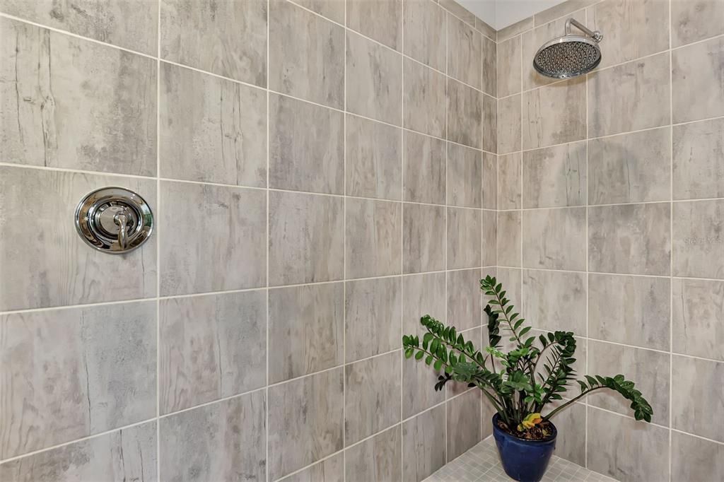Large walk in shower with temperature ad