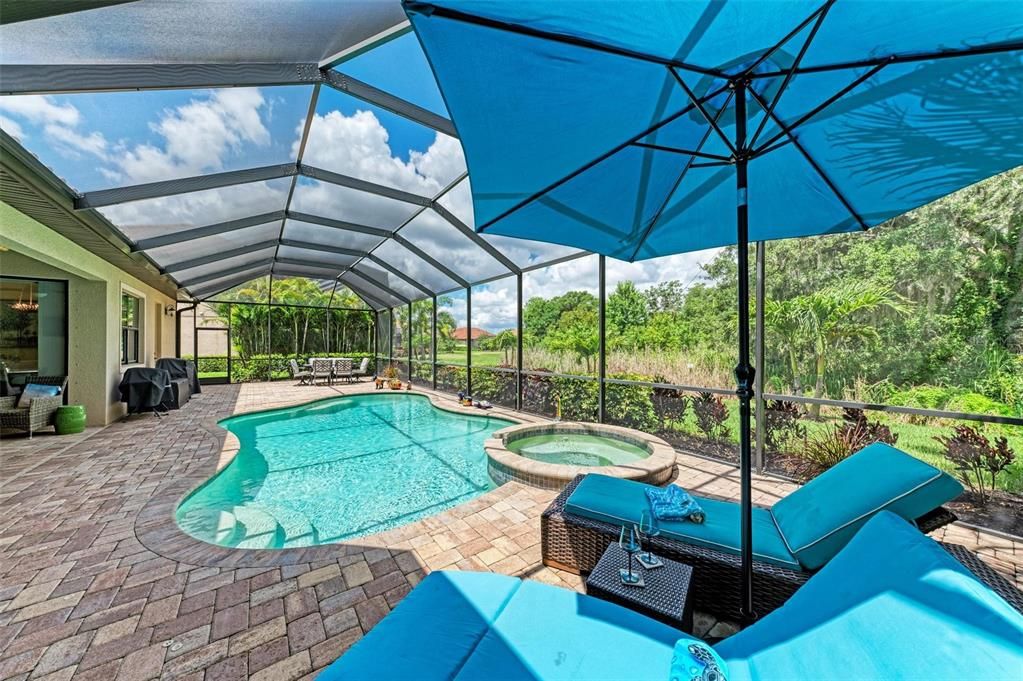 Privacy with pool and preserve views...