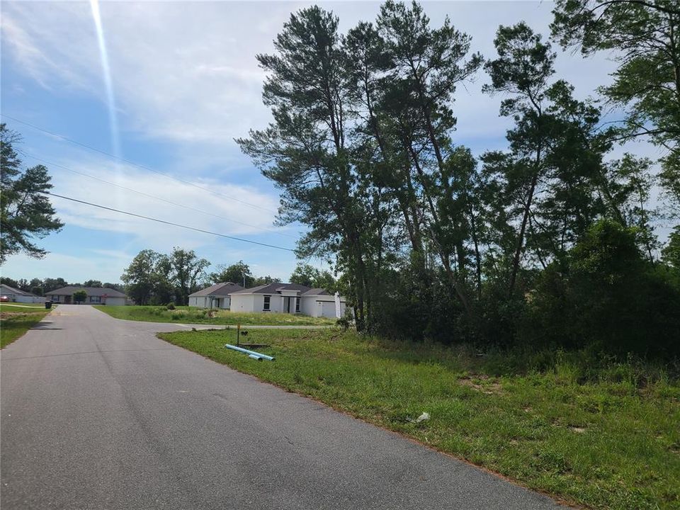 Street view looking west