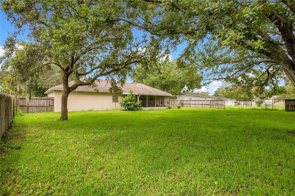 Fenced Yard