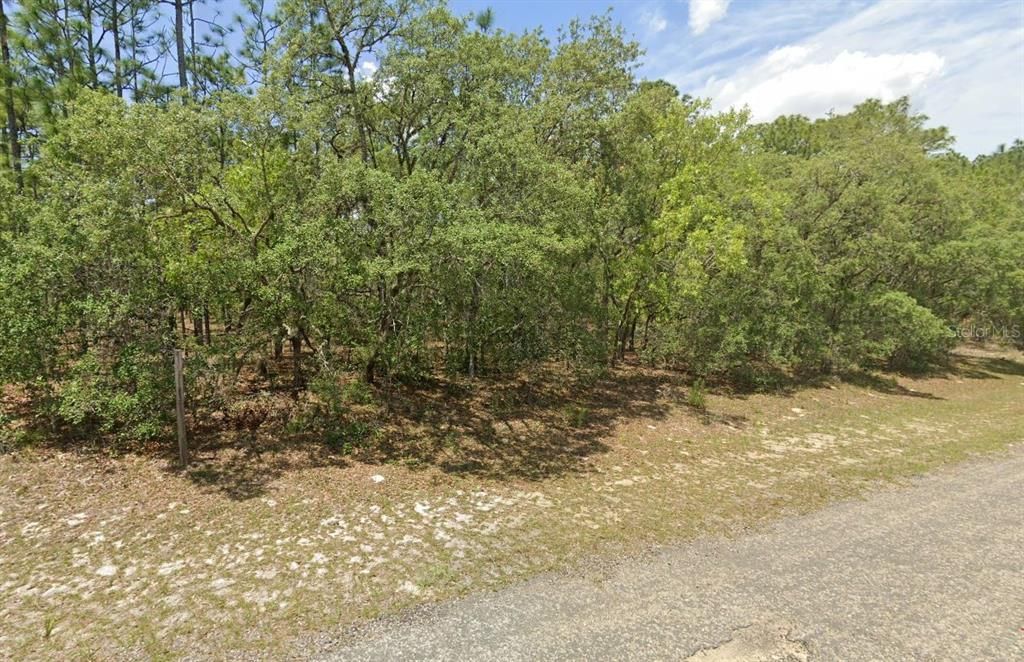 Active With Contract: $20,000 (0.23 acres)