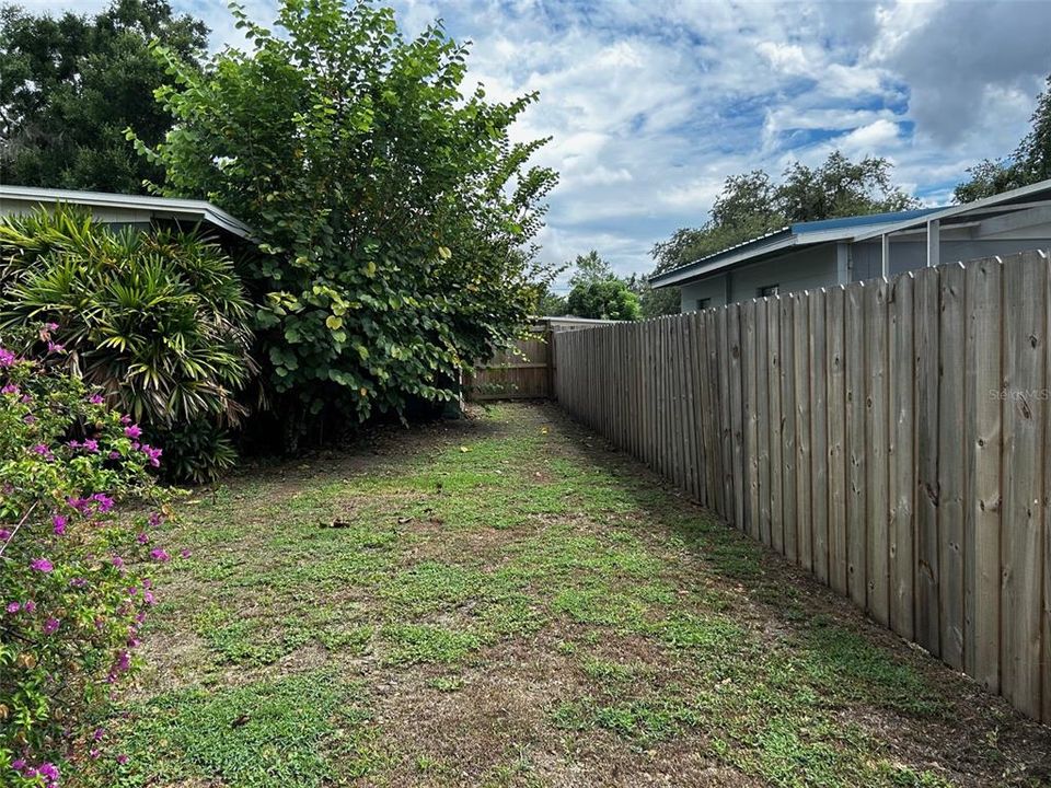 Fenced yard