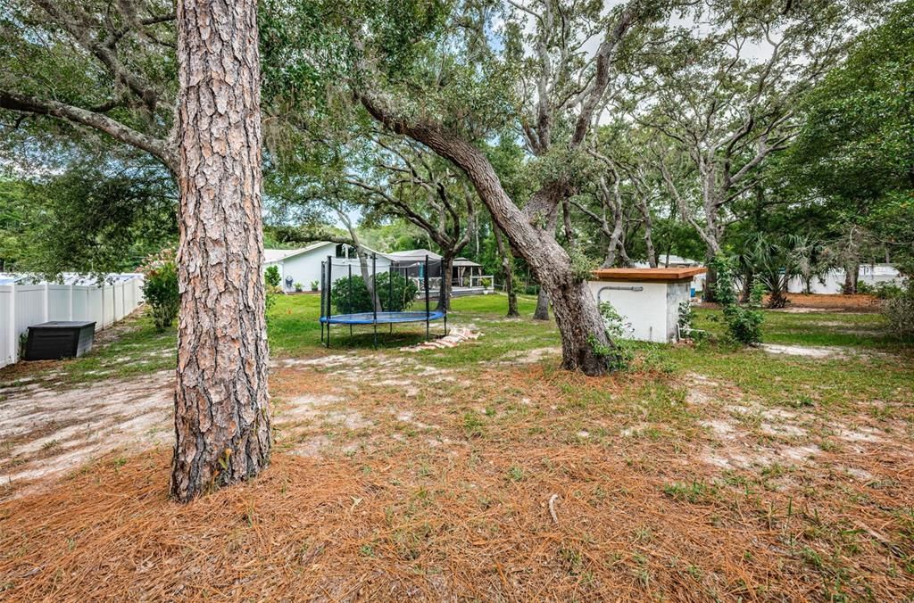 Trex outdoor decking - Fenced in backyard