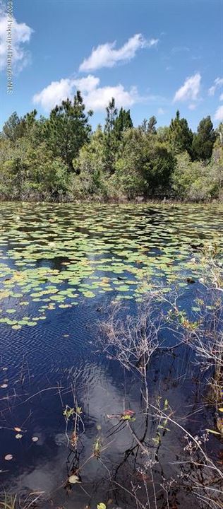 На продажу: $24,900 (0.76 acres)