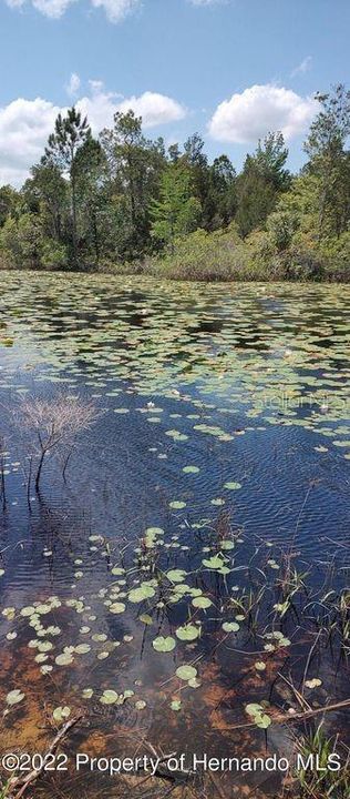 На продажу: $24,900 (0.76 acres)