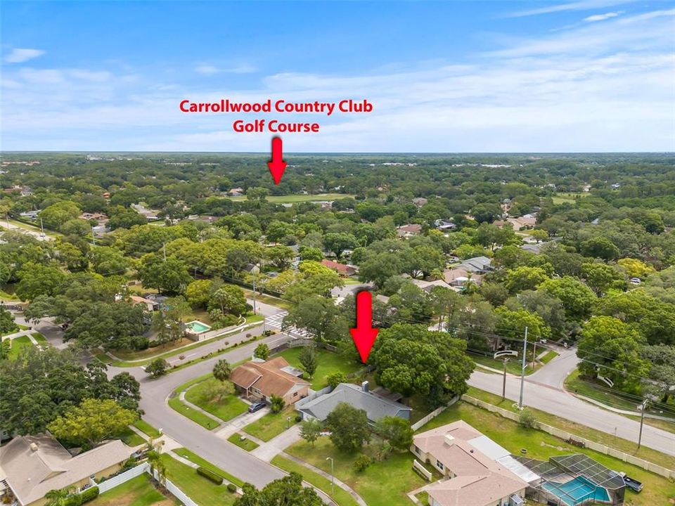 Carrollwood Golf Course nearby