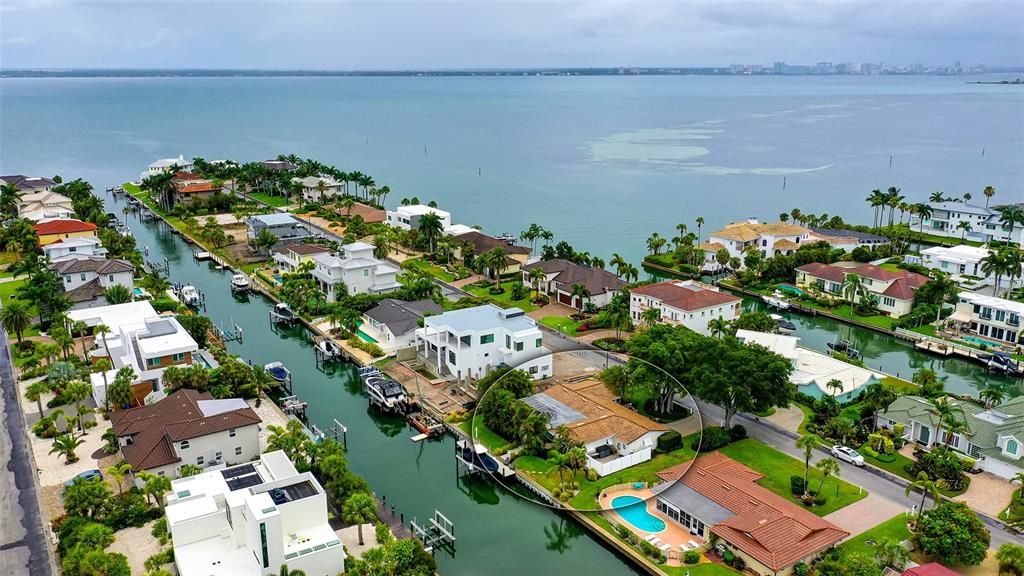 KAYAK EVERYDAY WITH YOUR NEW NEIGHBORS, THE MANATEES