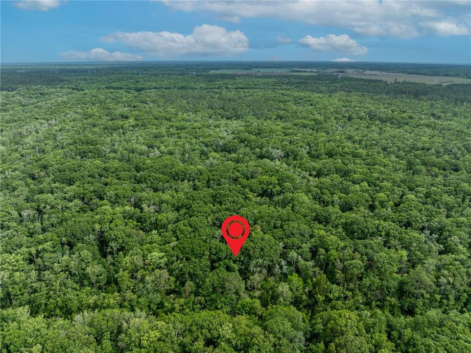 На продажу: $10,000 (1.14 acres)