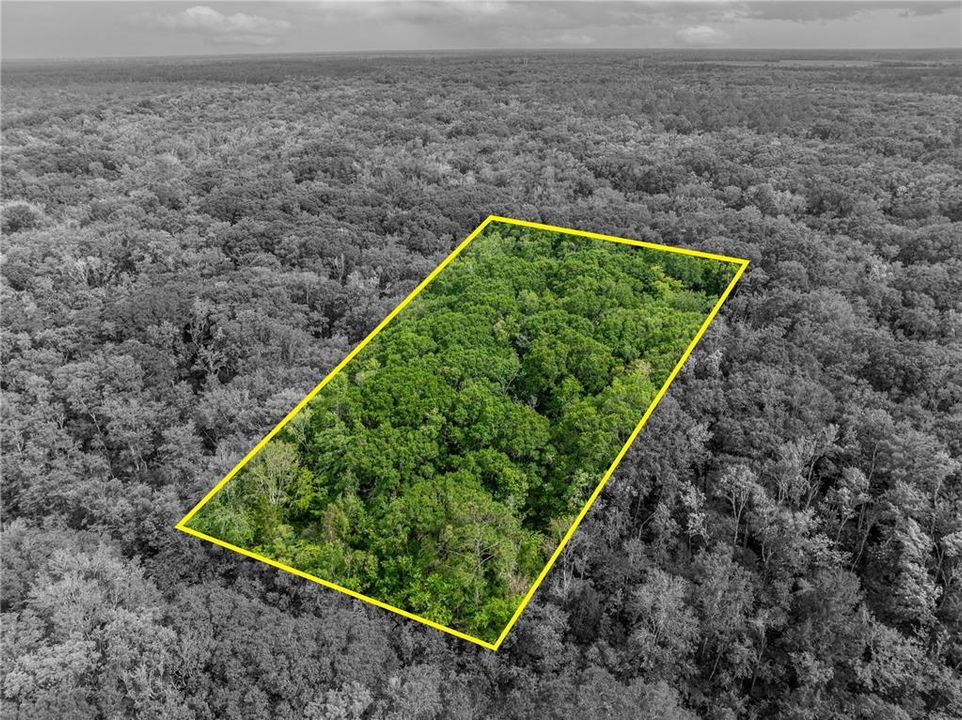 На продажу: $10,000 (1.14 acres)