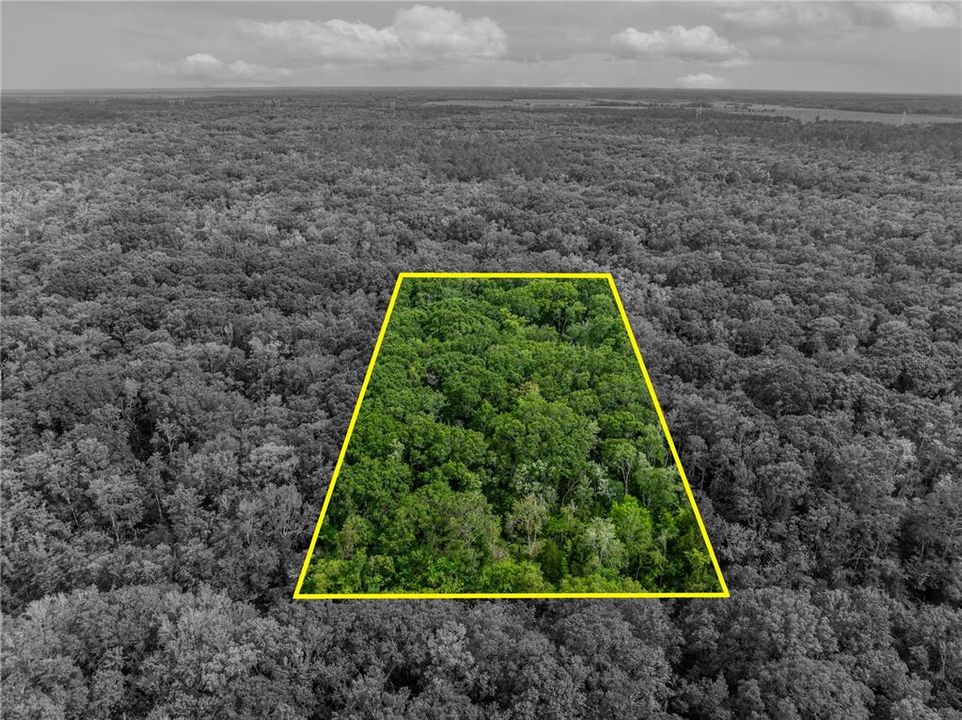 На продажу: $10,000 (1.14 acres)