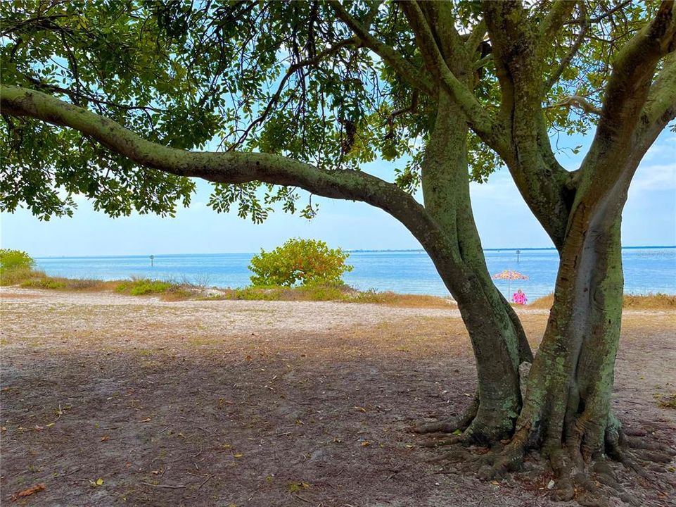 Nearby Picnic Island