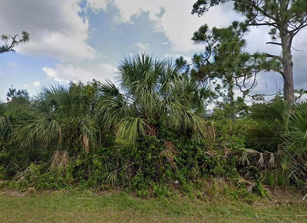 En Venta: $68,900 (0.31 acres)