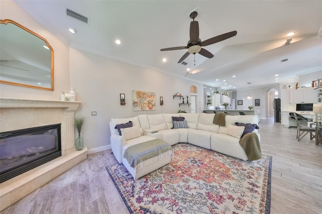 Family Room W/Fireplace