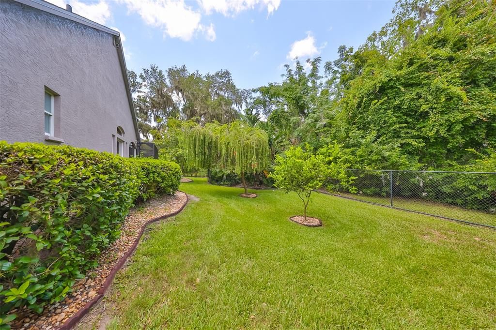 Fenced Backyard With Mature Landscaping To Provide Additional Privacy