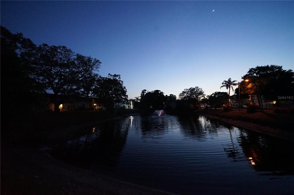 Another view fo the Community Pond about 2 streets east