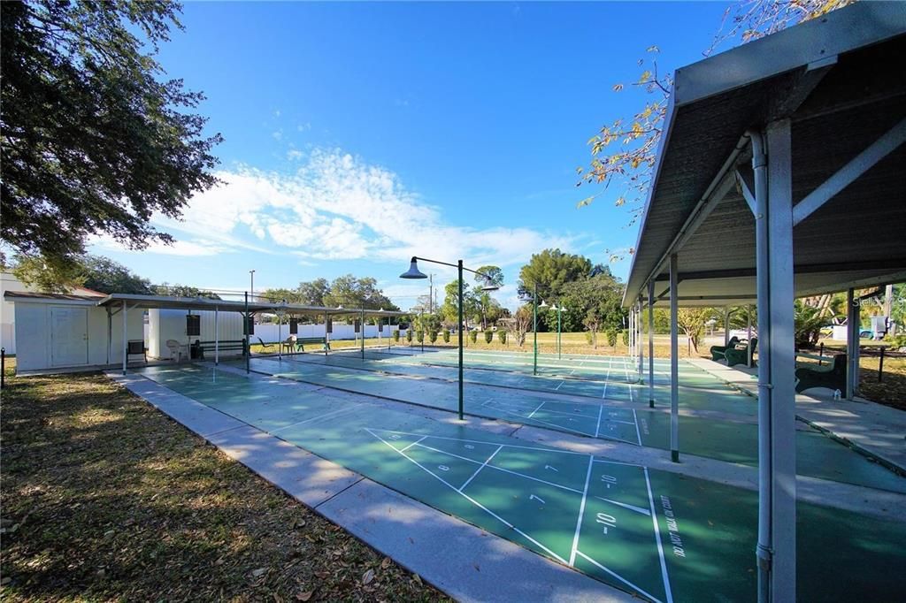 Shuffleboard