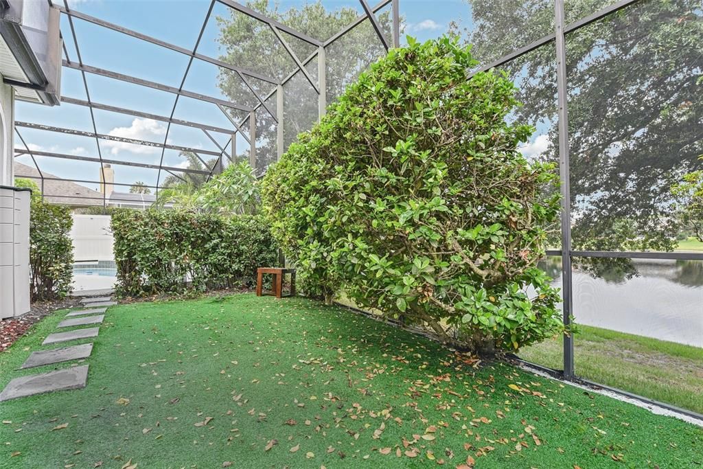 Artificial Turf area under screen enclosure