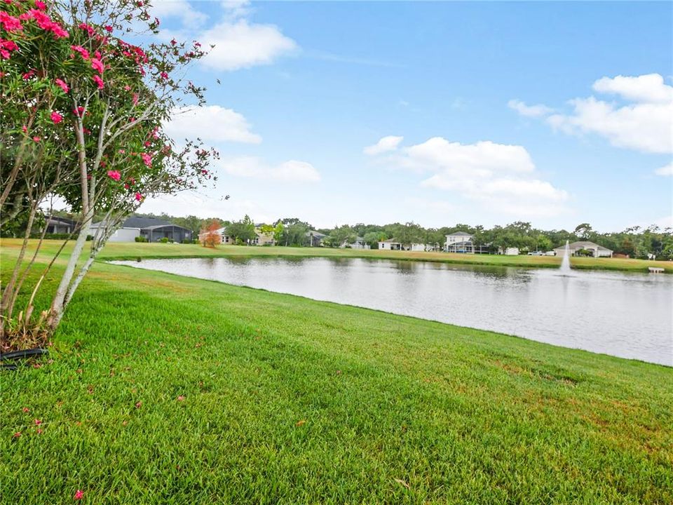 Pond with Water Feature