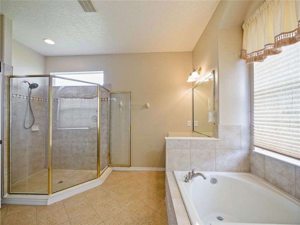 Soaking Tub and Shower