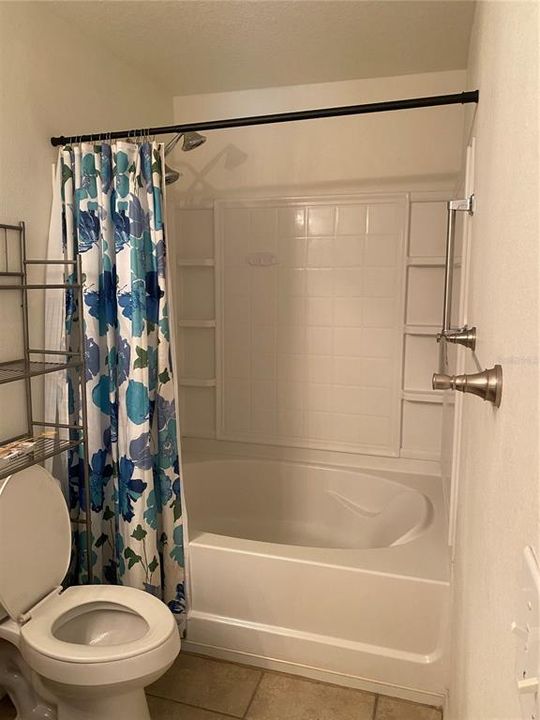 Master bath spa shower with large tub