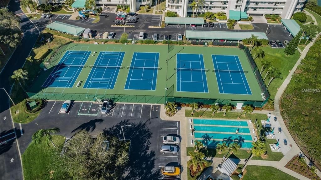 5 tennis courts with pickleball