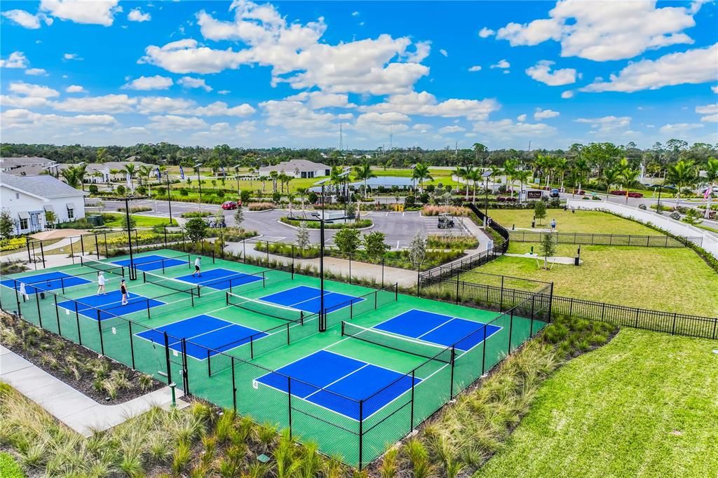 Pickle Ball Courts with Lights