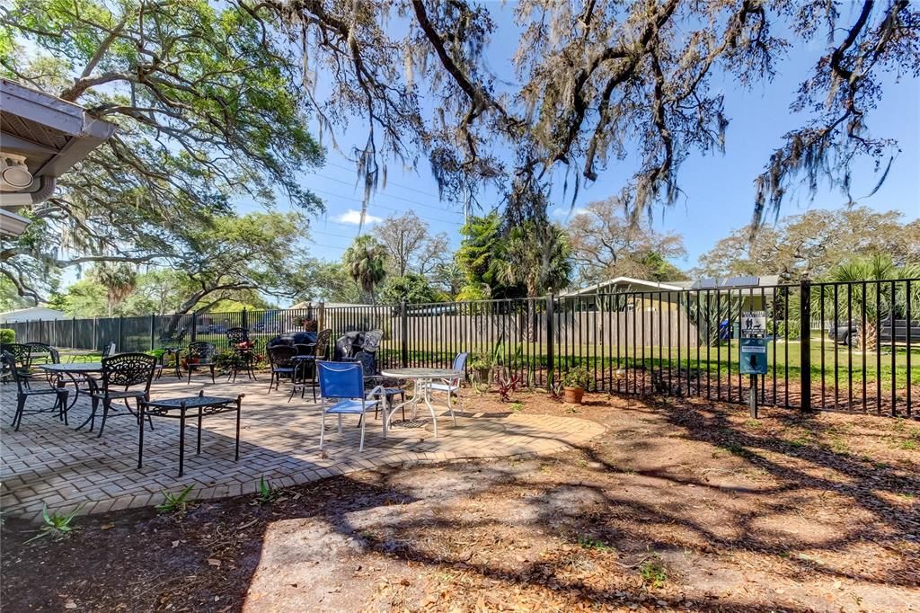 Outdoor grilling area