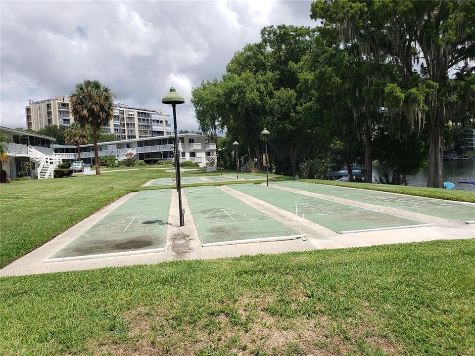 Shuffleboard on the Lake