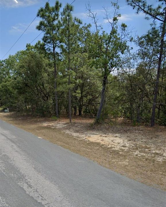 For Sale: $35,000 (0.33 acres)
