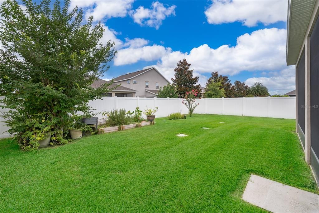 Fenced Backyard