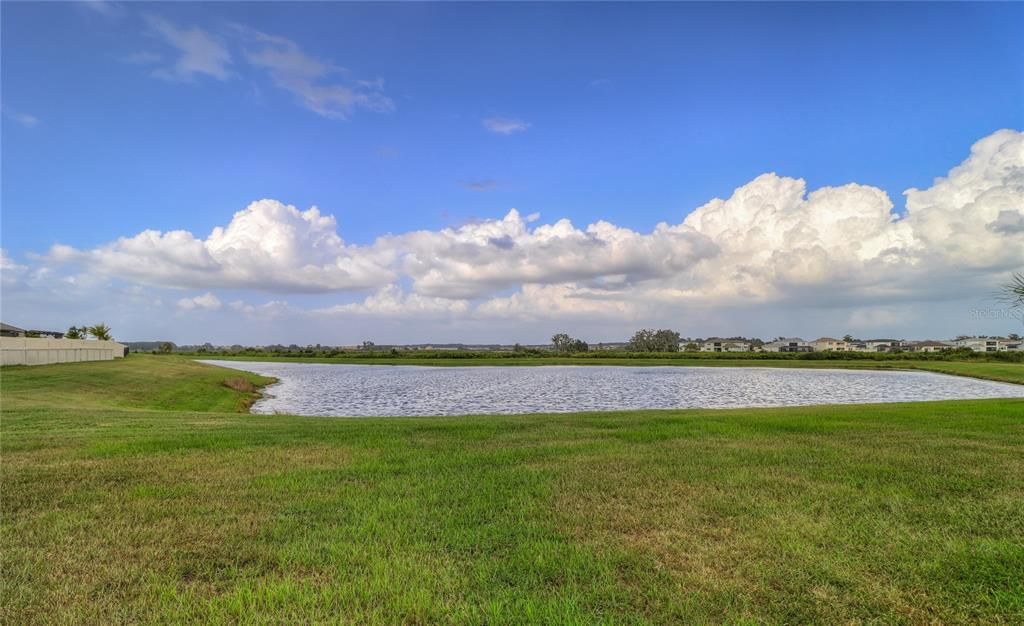 pond view