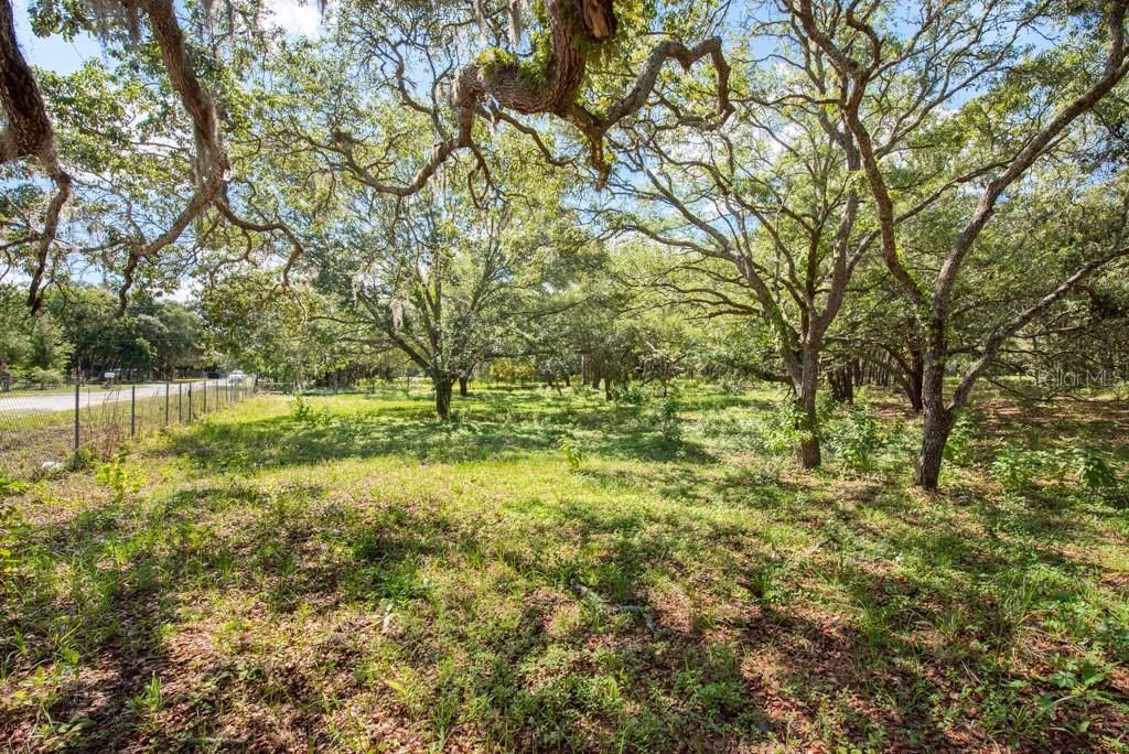 Active With Contract: $250,000 (4 beds, 2 baths, 1822 Square Feet)