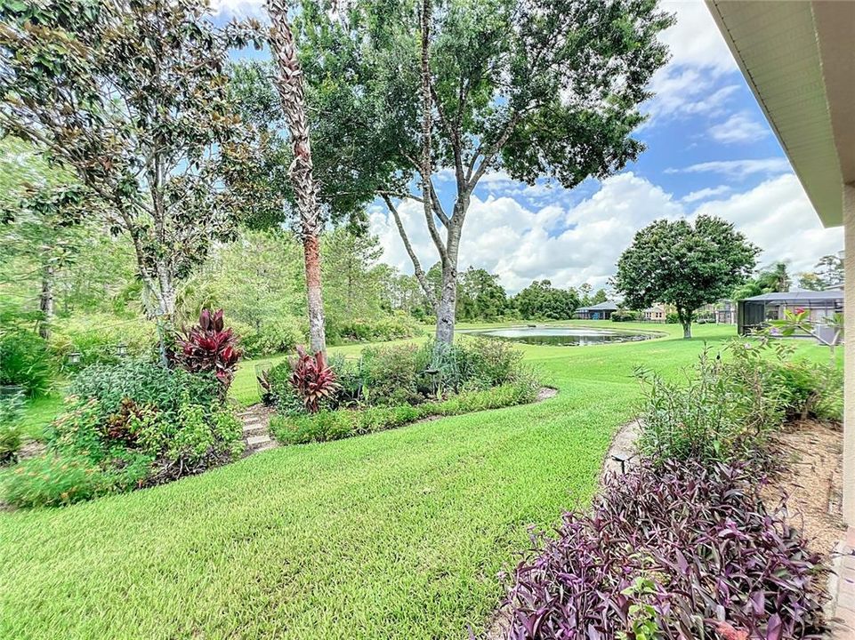 Amazing yard with a view