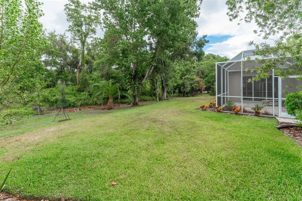 Large Wooded & Private Backyard