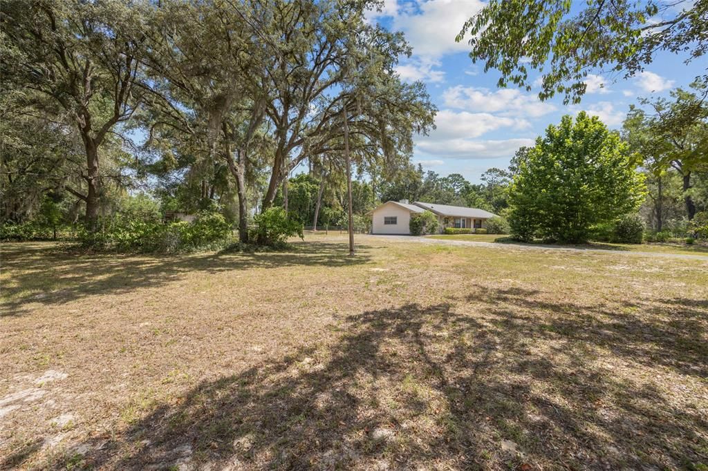 Side yard exterior