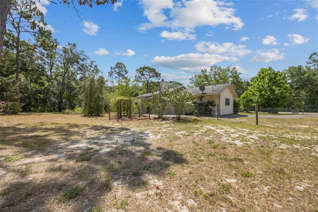 Back yard exterior