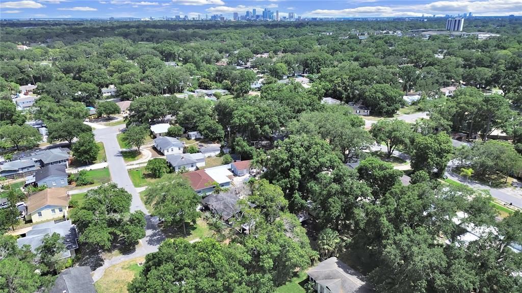 Mature trees and easy access to downtown Tampa.