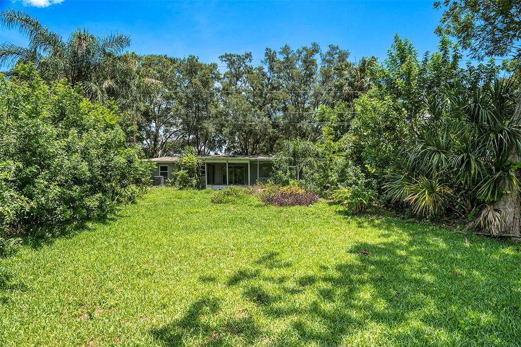 View of Backyard from Pond