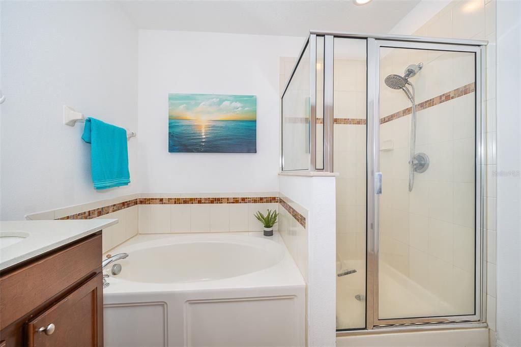 master bathroom with both shower and tub!