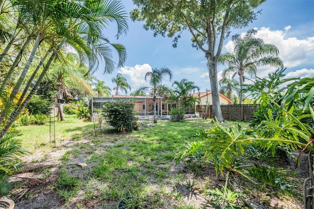 Huge backyard fully fenced