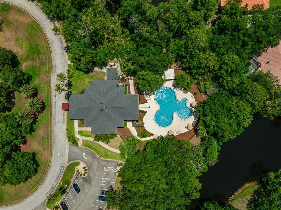 Aerial View of Pool & Pavillion