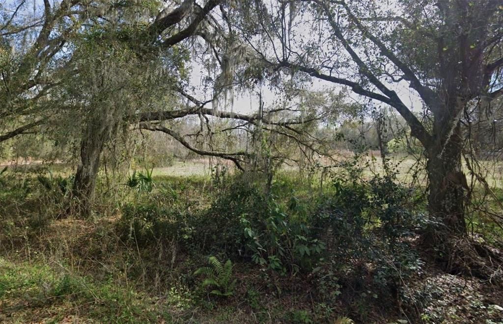 For Sale: $300,000 (8.29 acres)