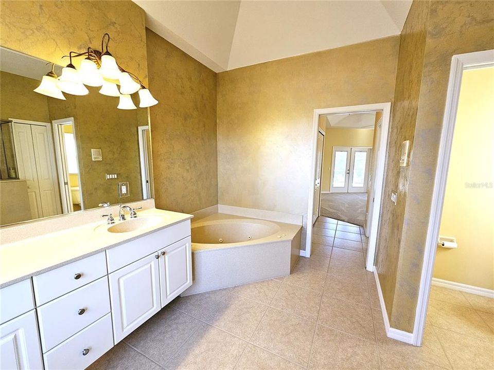 Master bath with large garden tub