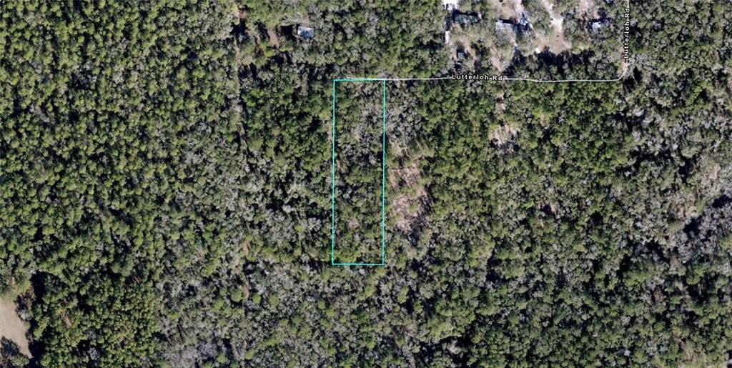 For Sale: $44,995 (2.50 acres)