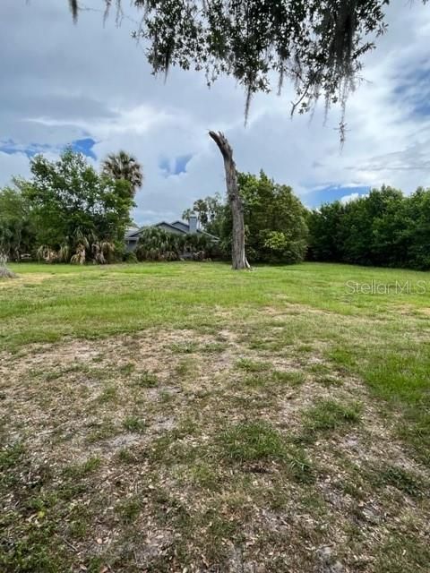 Huge Backyard - mostly fenced