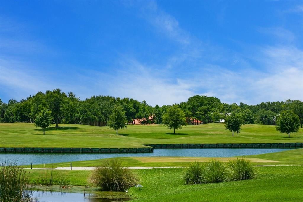 Stunning vistas of Laurel Oak