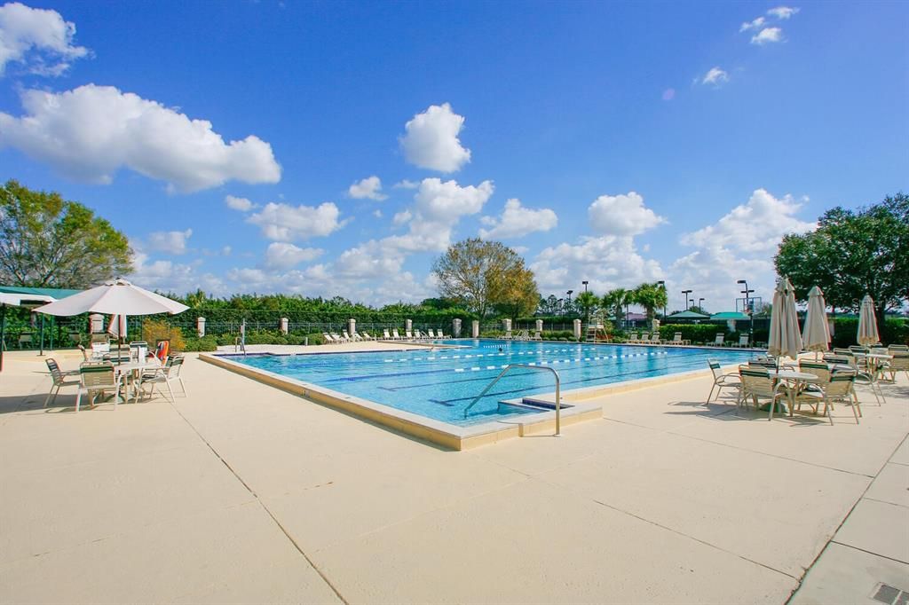 Laurel Oak Club lap pool